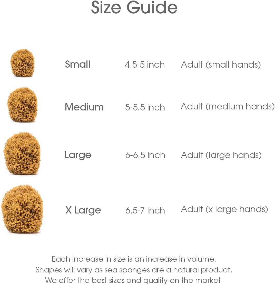 Naroa Soft Natural Sponge Large | Gentle Sea Loofah for Bathing Smooth Skin | Unbleached Shower Body Scrubber Puff | Bath & Spa (L)