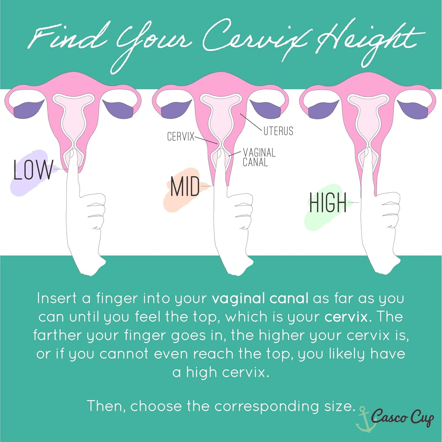 Casco Menstrual Cup & Case - Medical Grade Silicone Period Cup Made in Maine USA, Reusable Menstrual Cup (Standard1 - High Cervix)