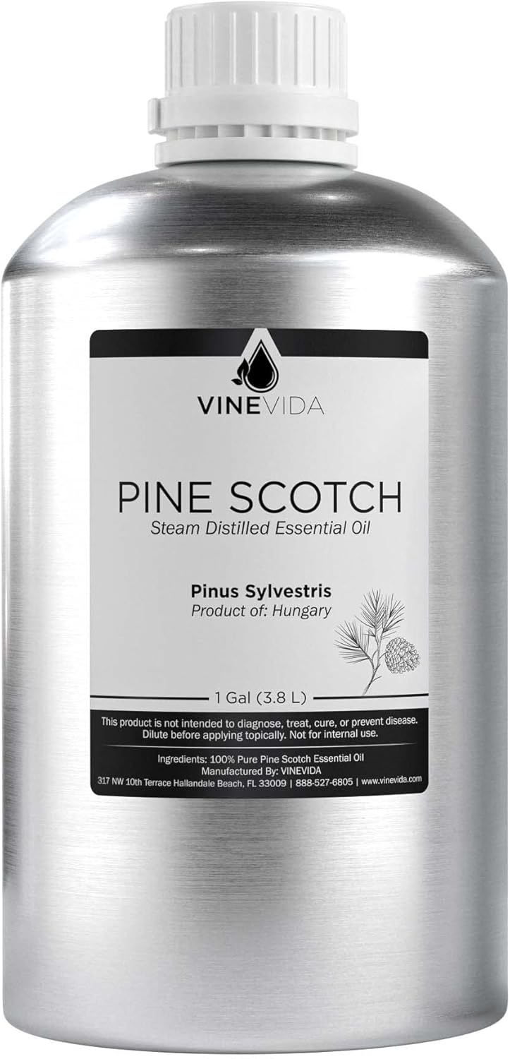 VINEVIDA Pine Essential Oil - Gallon undiluted - Bulk Oil for Soap and Candle Making Safe for Skin - 8 lbs