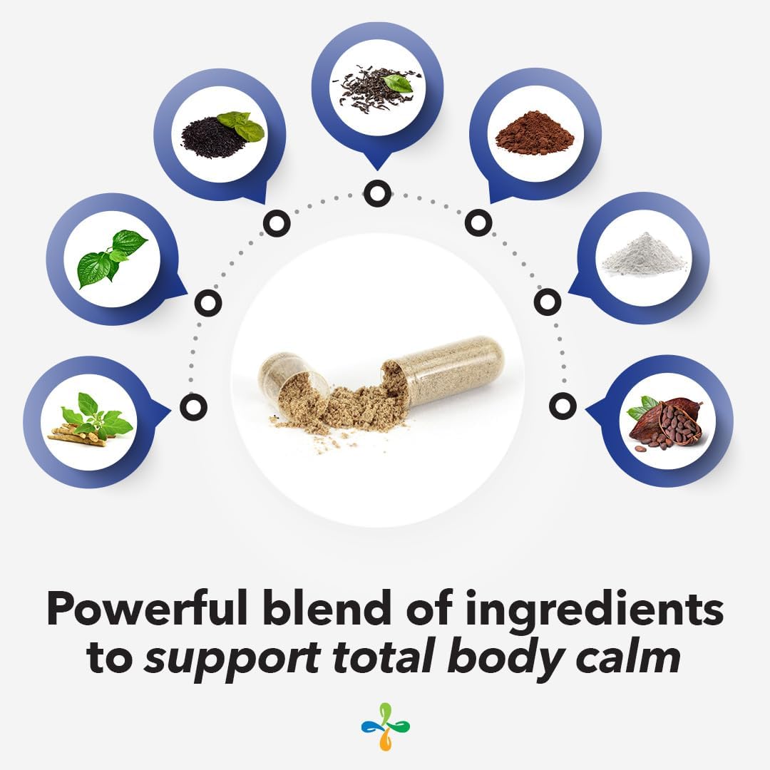 Anxie-T - Stress Relief Supplement - Supports Mood & Mental Focus - Feel Calm and Relaxed - Eases Tension & Nervousness - Ashwagandha, Kava Kava, GABA & L-Theanine - 60 Capsules