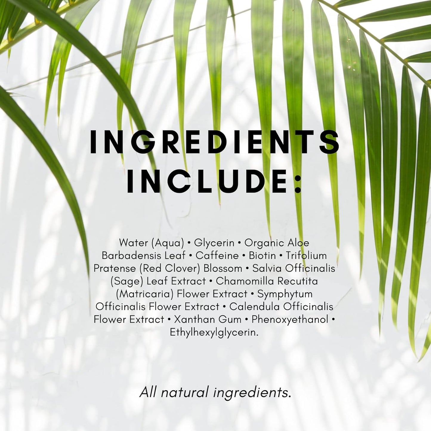 Biotin Hair Growth Serum Spray - For Men & Women With Fine, Thinning Hair - Fragrance Free & Sulfate Free DHT Blocking Hair & Beard Growth Formula, 2oz by TruePure