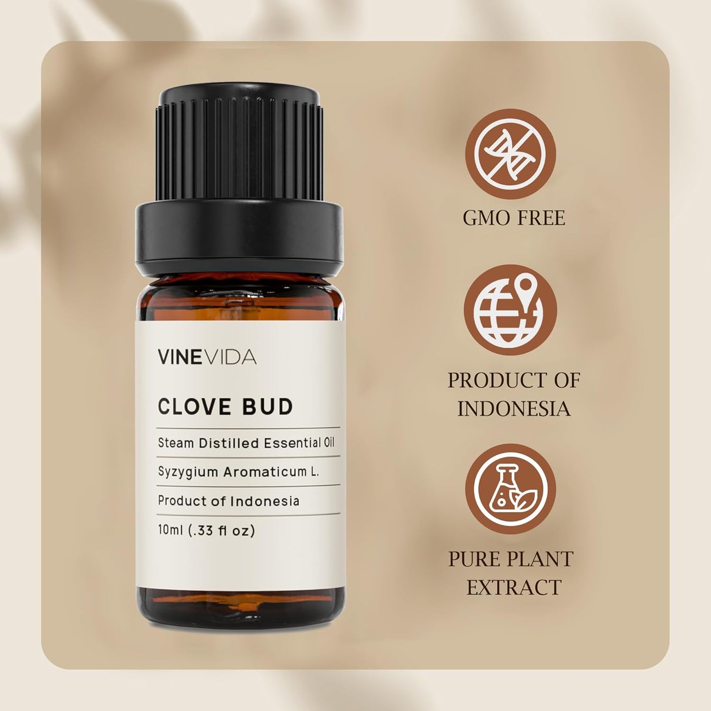 VINEVIDA Clove Essential Oil - Undiluted Clove Oil - Candle Scent - DIY Candle Scents - 10 mL for Candlemaking, Soap Making, Safe for Skin