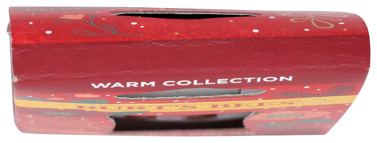 Burts Bees Warm Kissable Color Gift Set, 1 EA