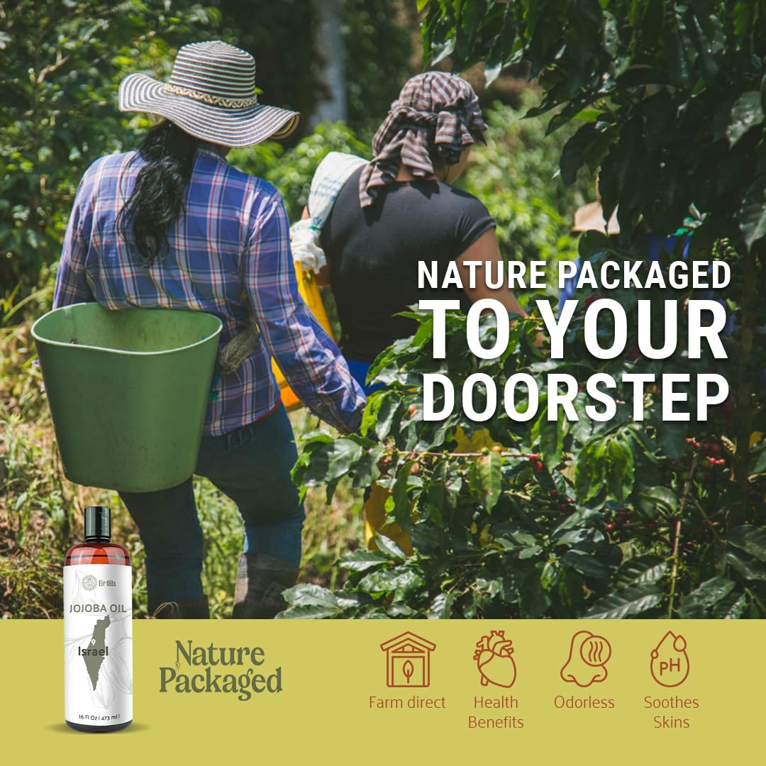 Jojoba Oil - Direct from EIR Oils' Farm in Israel - 100% Pure Carrier Oil for Hair, Face, and Skin - Hand-Picked, Cold-Pressed Carrier Oil (4 Gallons)