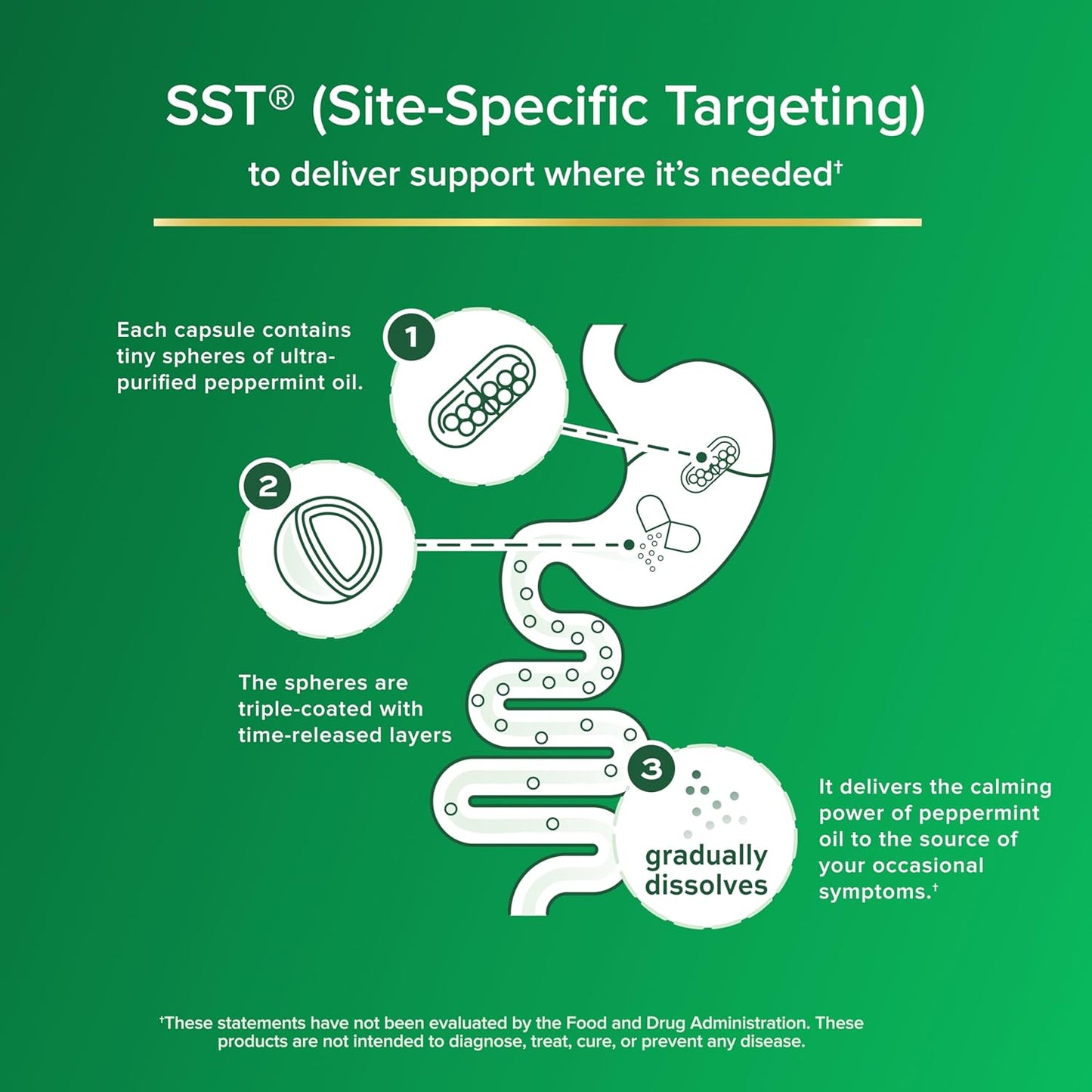 IBgard Gut Health Supplement, Peppermint Oil Capsules for Abdominal Comfort, 48 Capsules