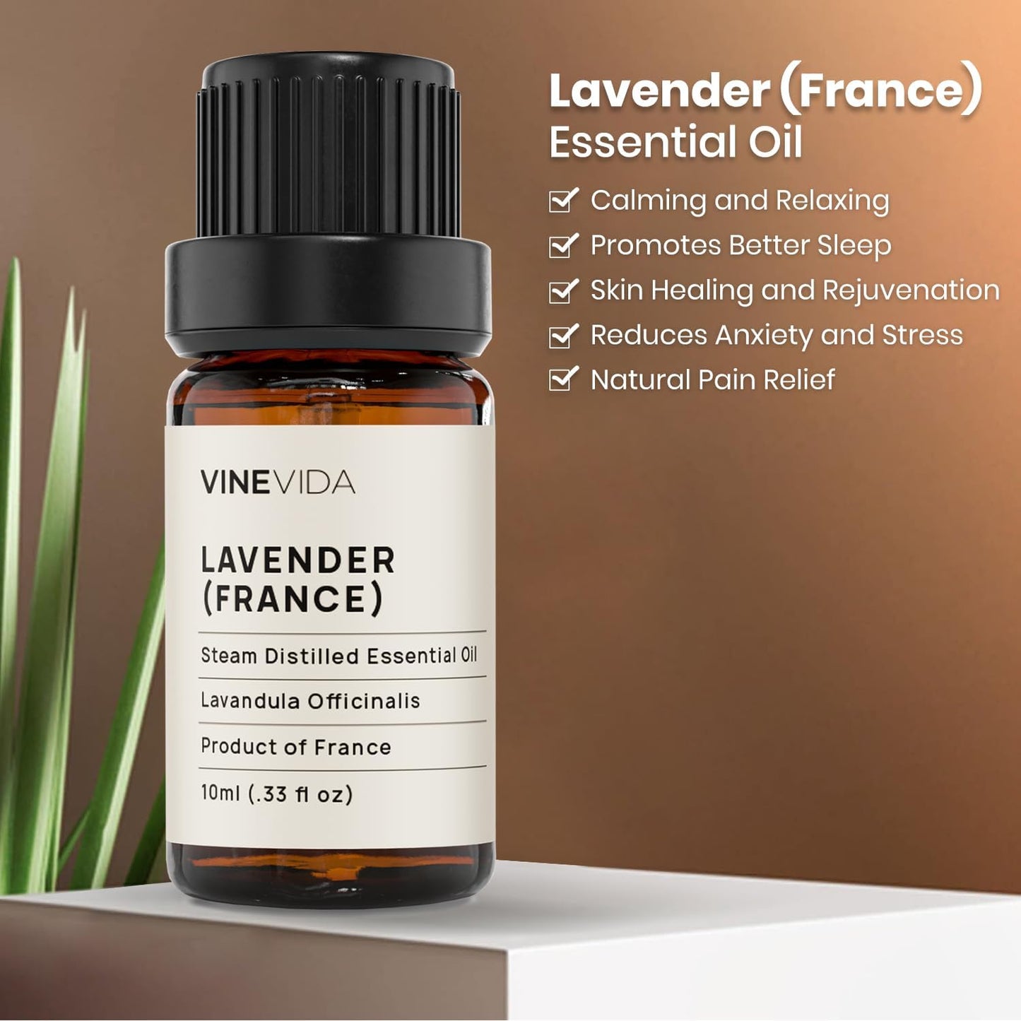 VINEVIDA Lavender France Essential Oil 10 mL - Undiluted Lavender Oil 10 mL - Lavender Candle Oil Scent - DIY Candle Scents for Candlemaking - 10 mL Essential Oil for Soap Making Safe for Skin