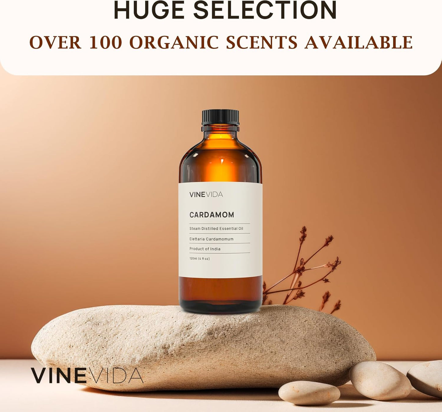 VINEVIDA Cardamom Essential Oil 4 oz - Undiluted Candle Scent DIY Scents for Candlemaking Bulk Soap Making Safe Skin, Pack of 1, 120.0 milliliters