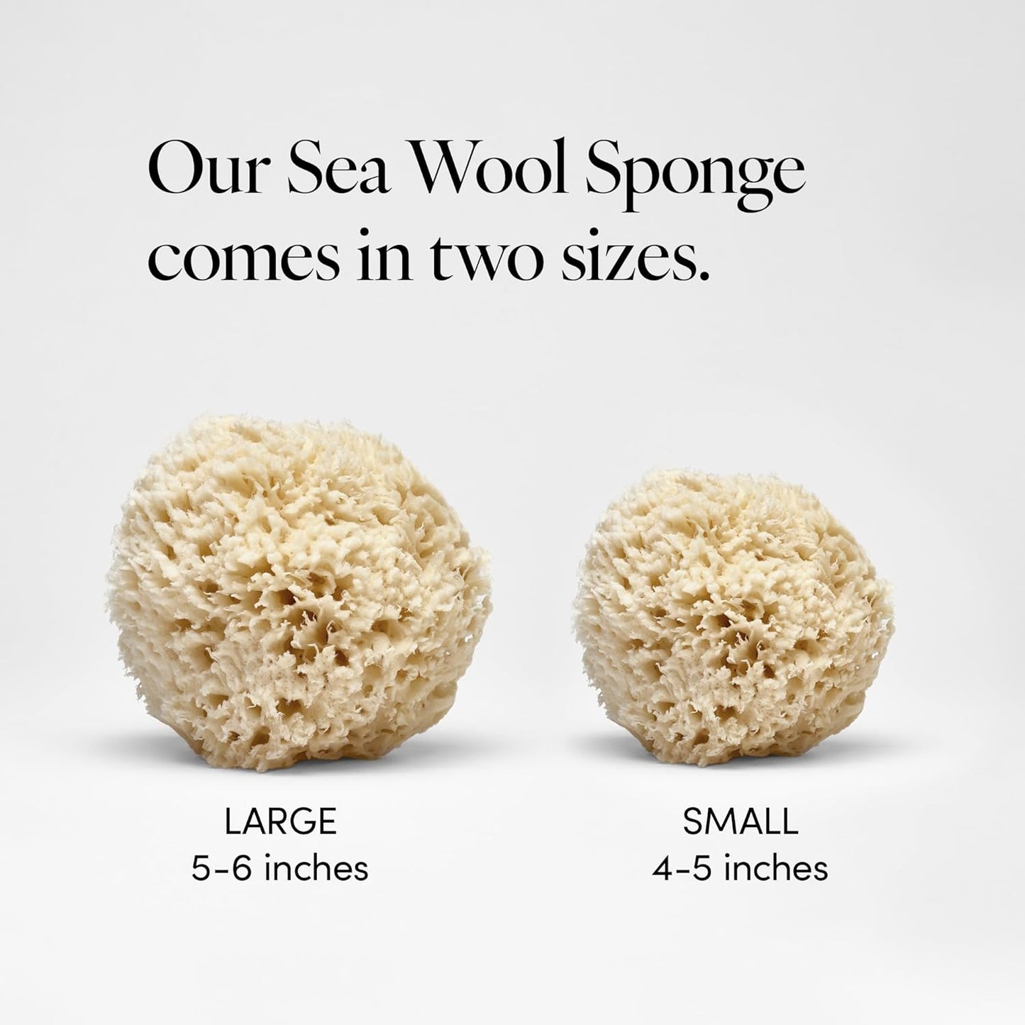 LATHER - Natural Sea Wool Sponge, 4-5" - Organic Exfoliating Body Scrubber - Soft, Gentle Cleansing - Hypoallergenic - All Skin Types - Florida Natural Loofah Sponge - Cruelty Free - Beauty & Skincare
