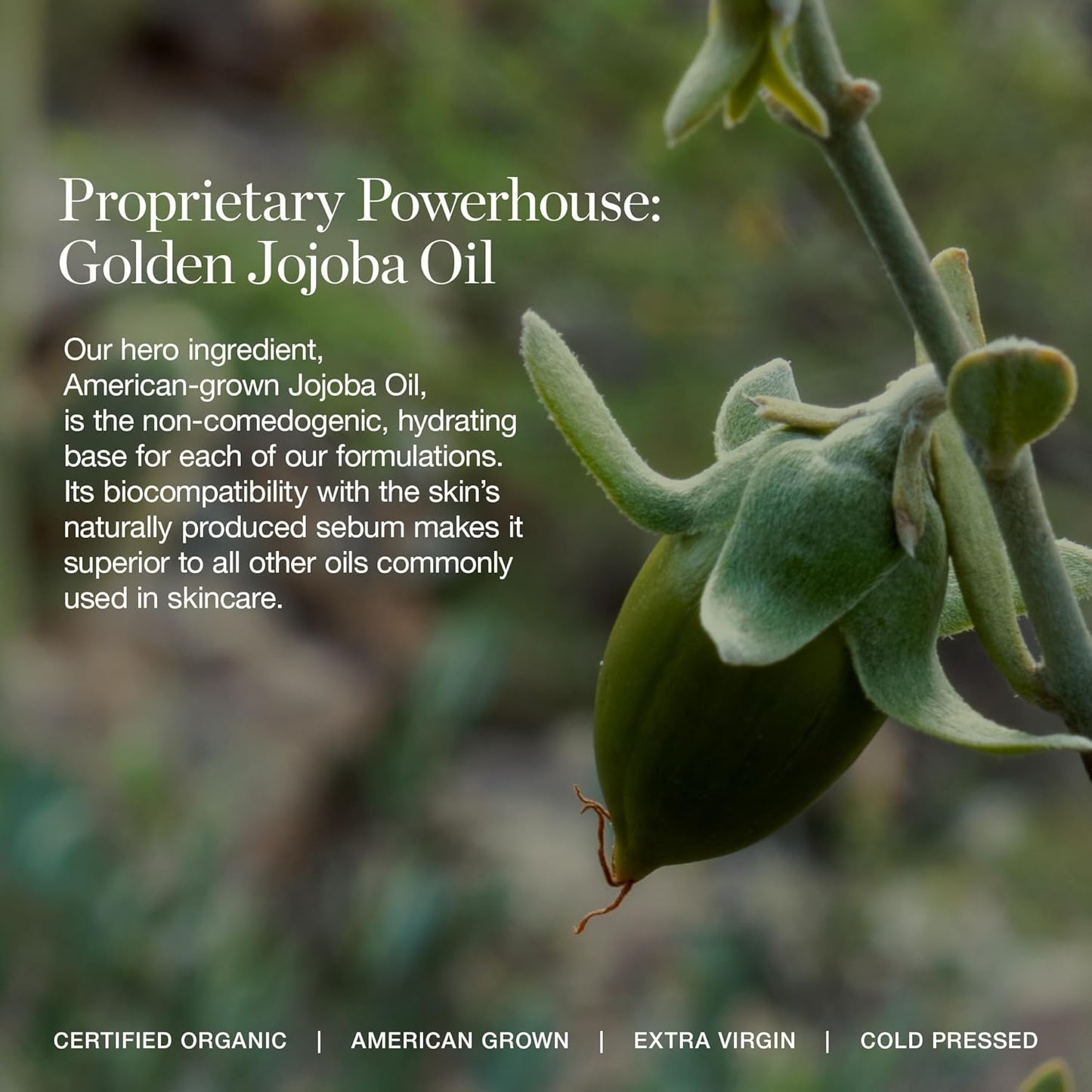 Ogee Complexion Perfecting Under Eye Concealer - Certified Organic Full Coverage Concealer - Buildable Coverage - LAUREL 6.50N - Medium (Neutral Undertones)