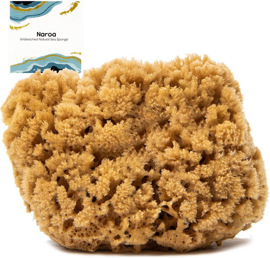 Naroa Massage Natural Shower Sponge | Unbleached Body Scrubber Puff | Bath Sea Loofah for Healthy Skin | Sustainable Plastic Free (Medium)