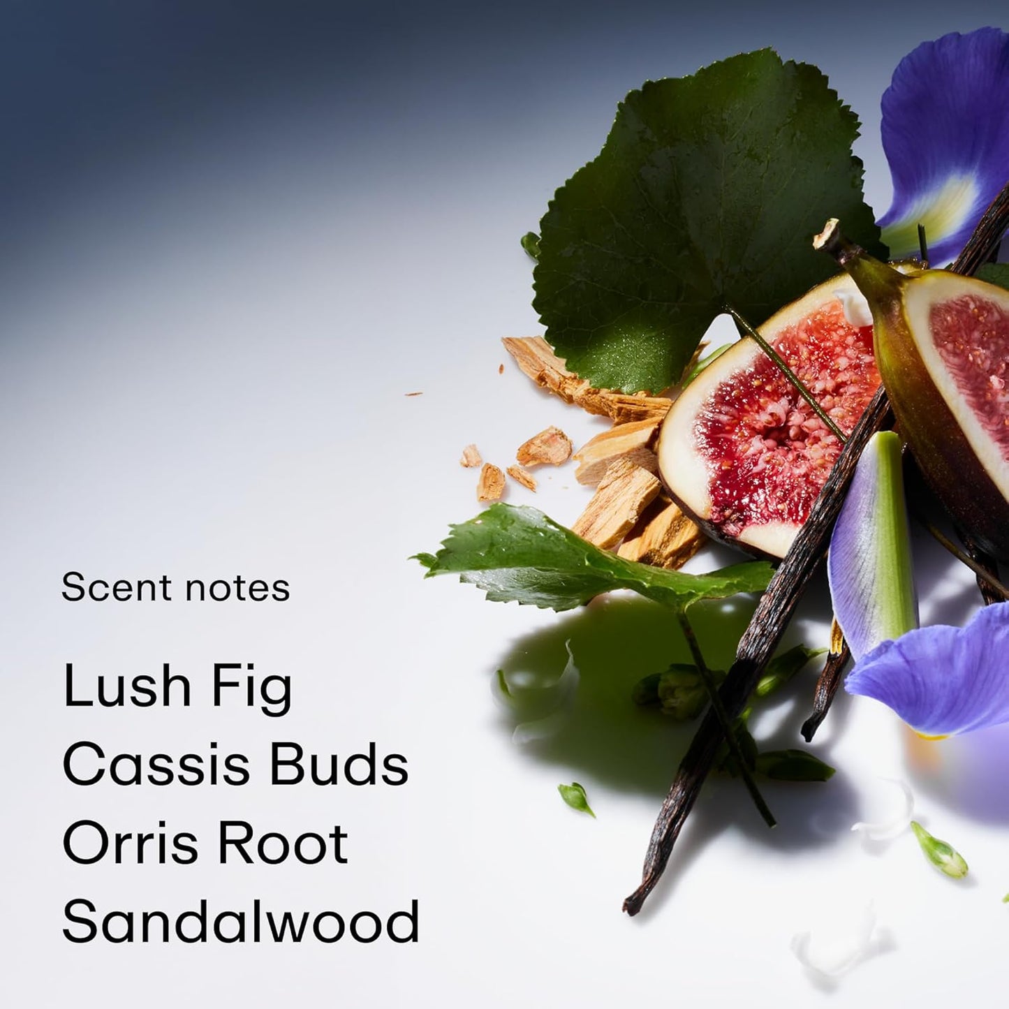 PHLUR Father Figure Eau de Parfum - Travel Size Perfume Fragrance - Green Fresh Fig Perfume with Iris, Jasmine, Patchouli, Sandalwood & Vanilla (9.5mL)