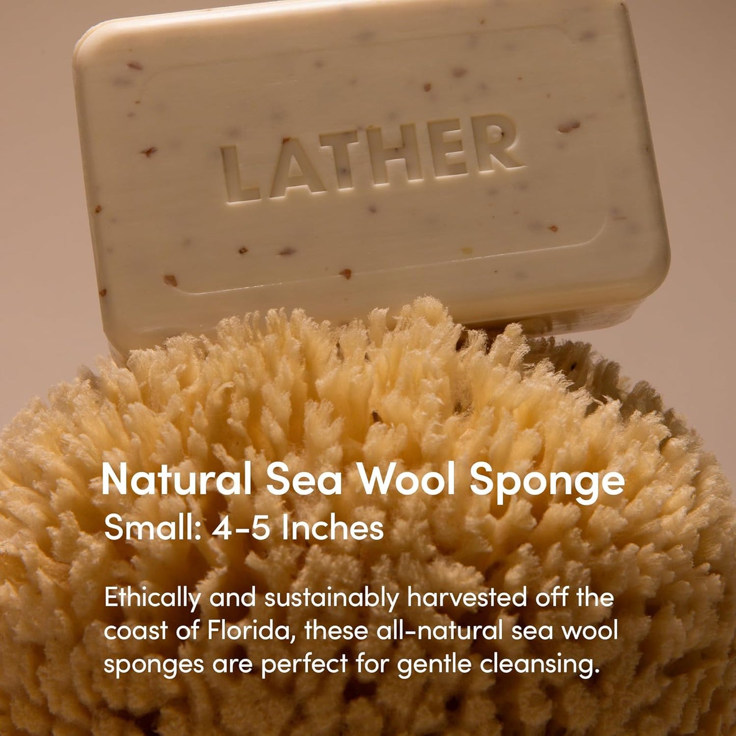 LATHER - Natural Sea Wool Sponge, 4-5" - Organic Exfoliating Body Scrubber - Soft, Gentle Cleansing - Hypoallergenic - All Skin Types - Florida Natural Loofah Sponge - Cruelty Free - Beauty & Skincare