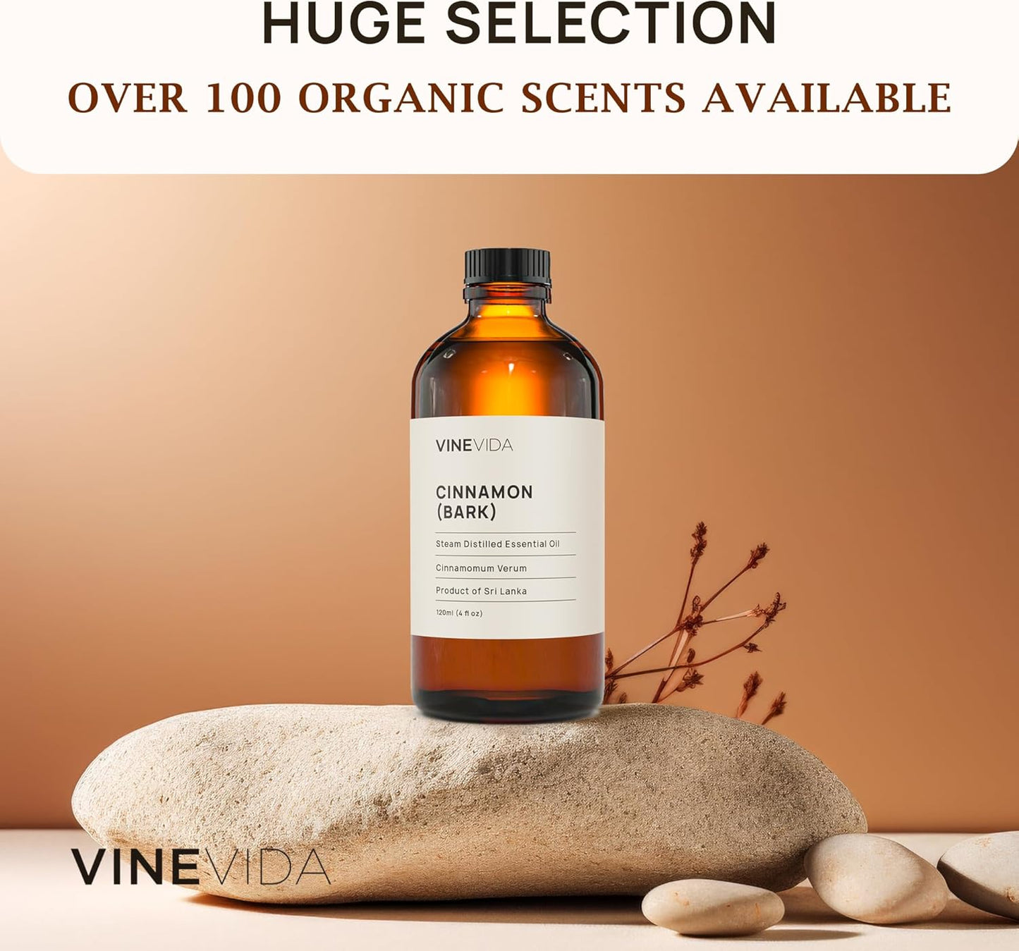 VINEVIDA Cinnamon Bark Essential Oil 4 oz - Undiluted Cinnamon Oil for DIY Candle Scents - Safe for Skin