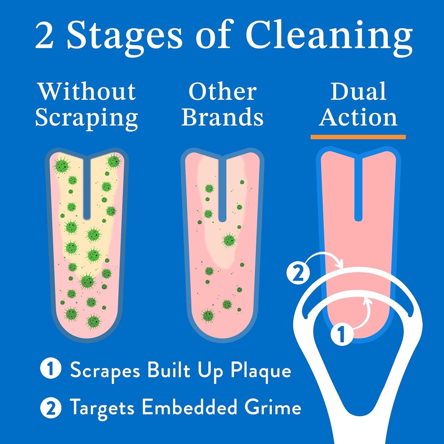 Mouthology Tongue Scraper for Adults (2 Pack), Reduce Bad Breath, Metal Tongue Scraper, Tongue Cleaner, Tongue Scraper, Stainless Steel Tongue Scraper, Tongue Cleaner for Adults, Tongue Scrubber